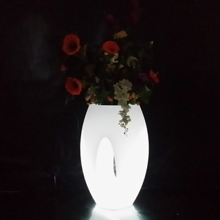 زهور شوكة LED (E006)