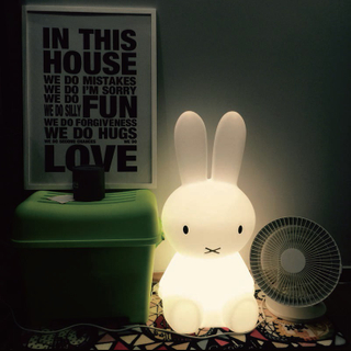 ديكورات إضاءة LED MIFFY صغيرة (C004S)