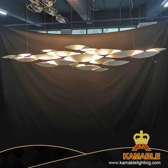 أضواء المشروع