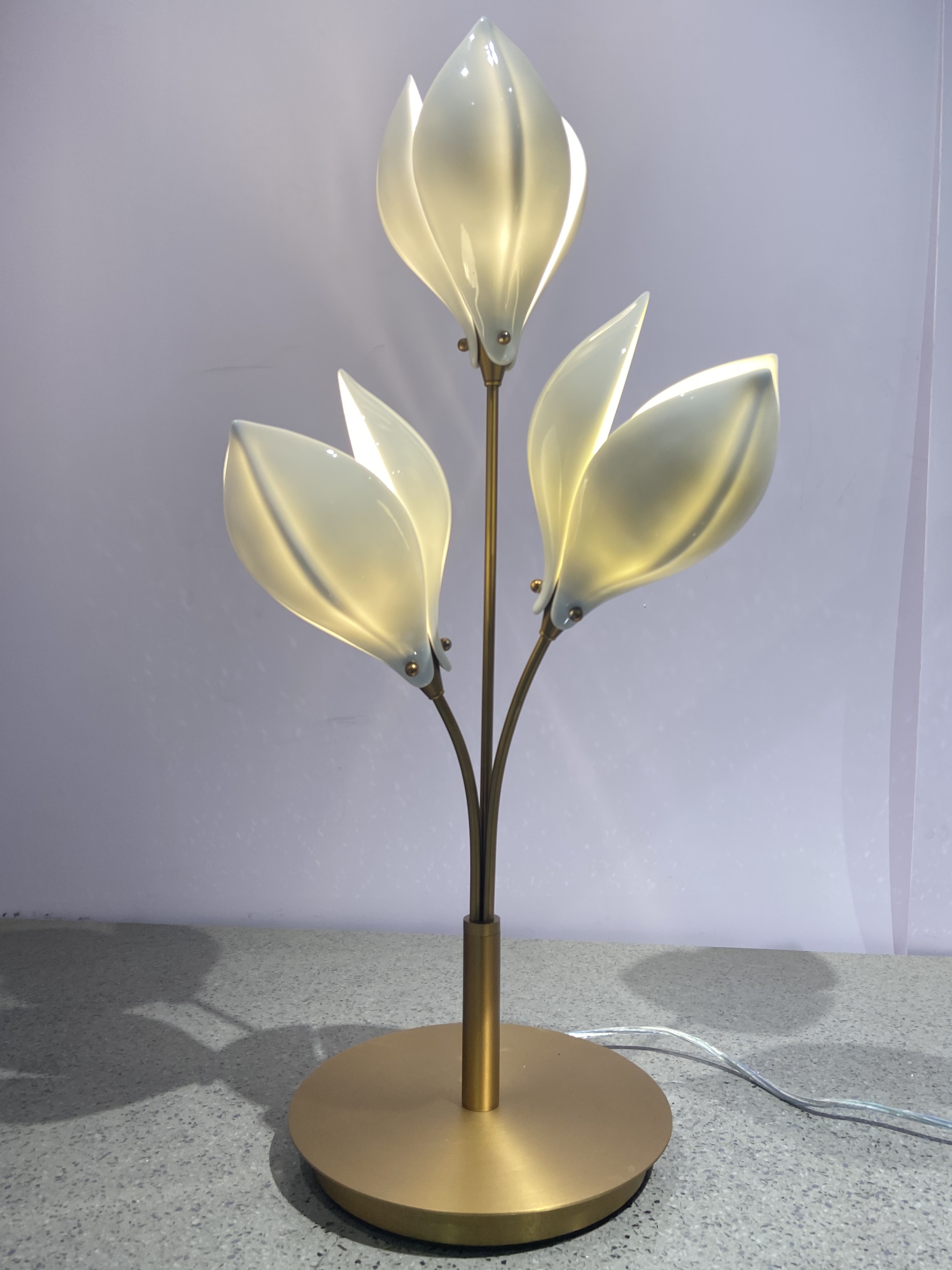 الصورة_20231228155246