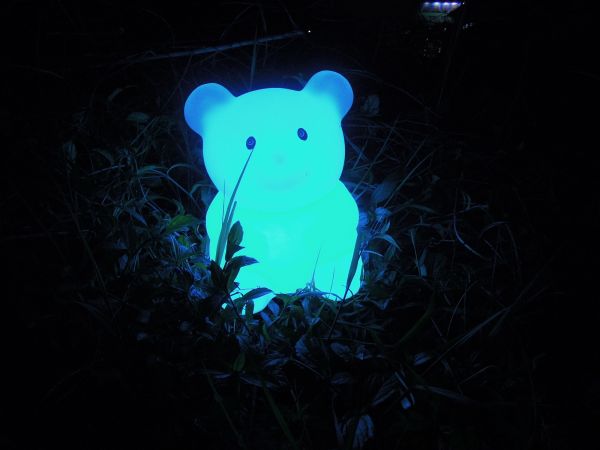 مصباح LED الحيوانات الأليفة (C001)