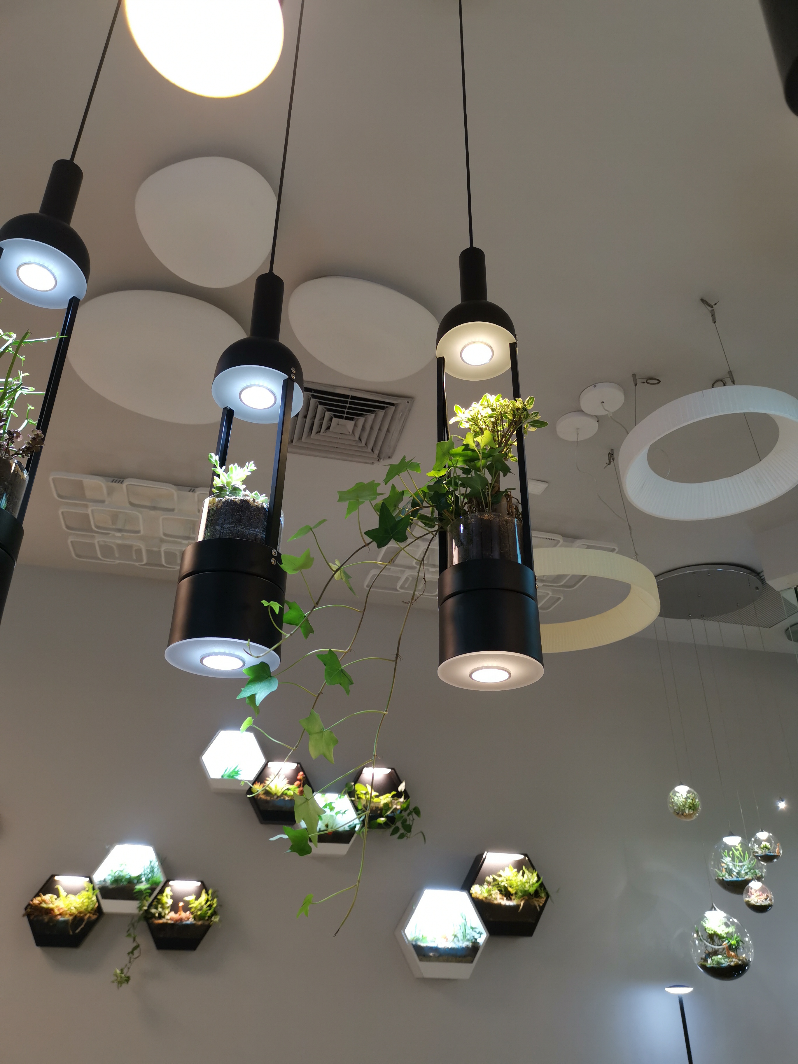 微 信 图片 _20 19051611014 9