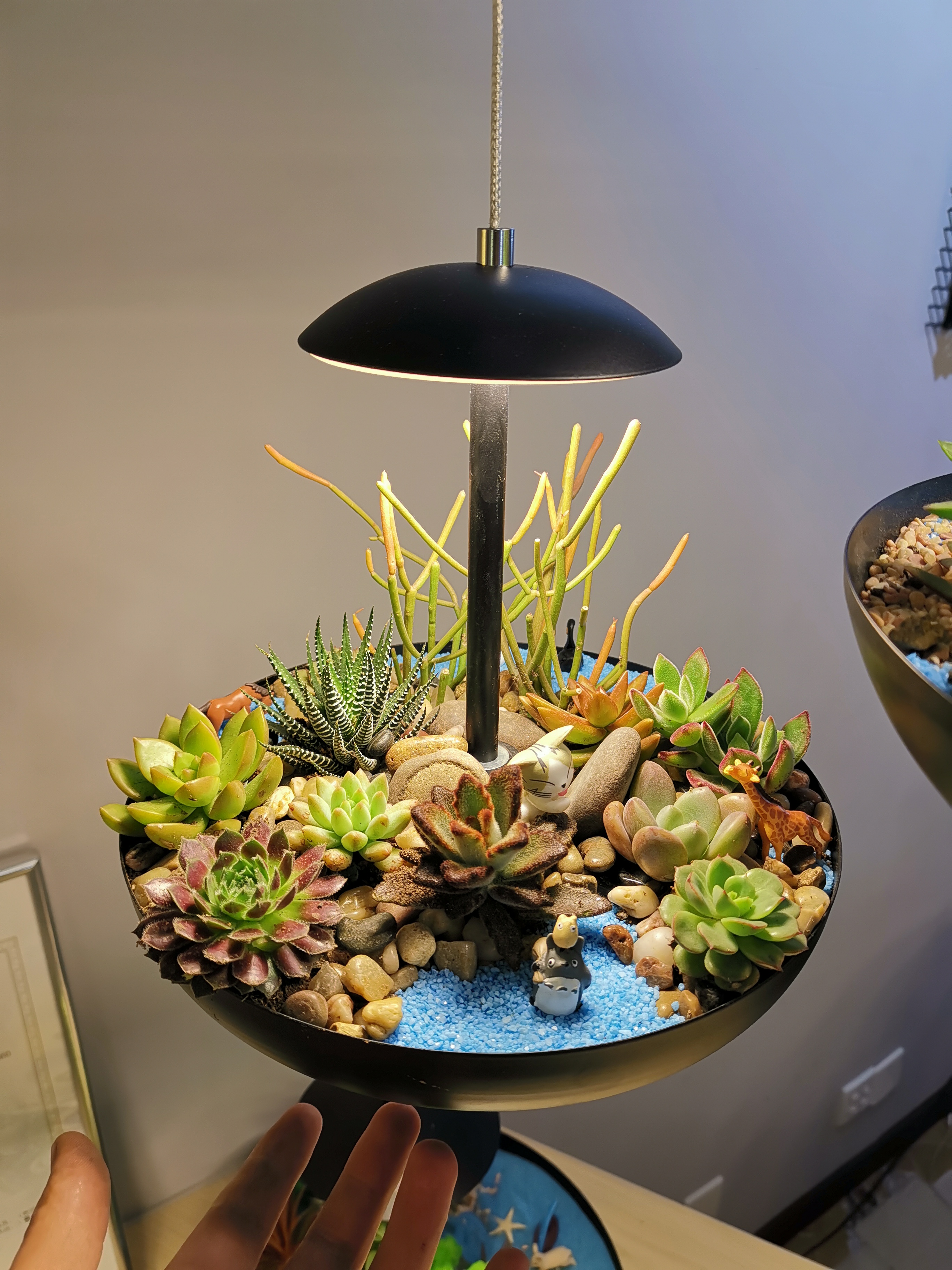 微 信 图片 _20 19051611034 6