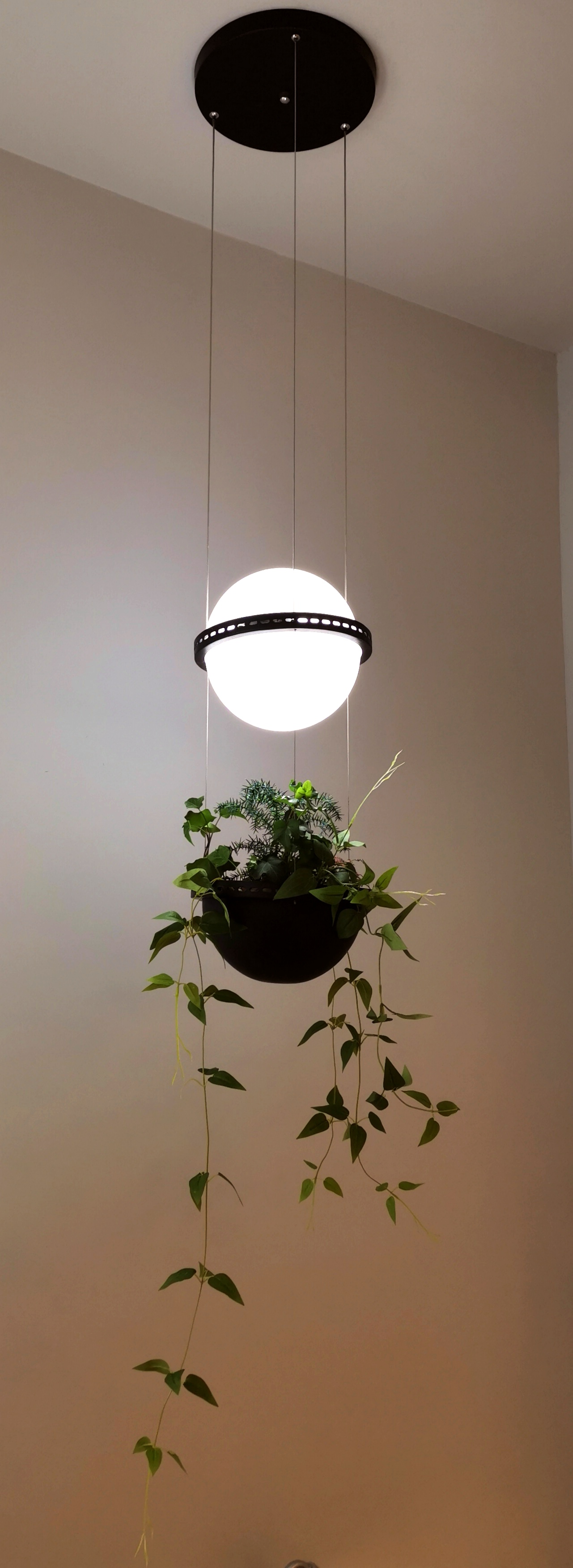 微 信 图片 _20 19051611032 6