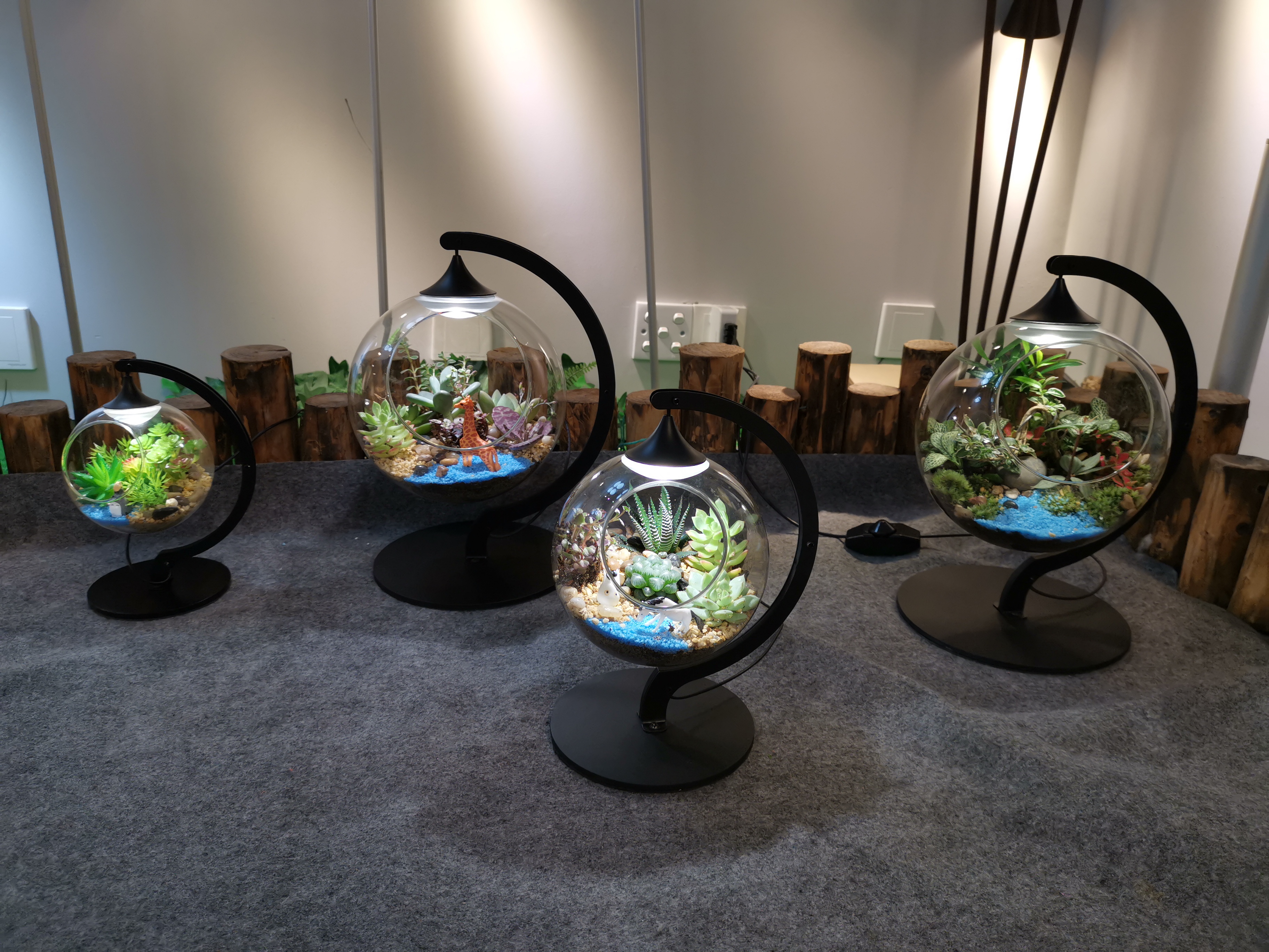 微 信 图片 _20 19051611013 6